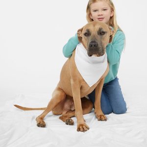 Doggie Skins Doggie Bandana